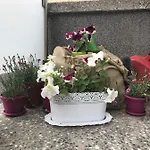 Sarajevo Rooms بيت ضيافة *