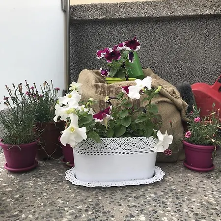 Sarajevo Rooms Pensión *