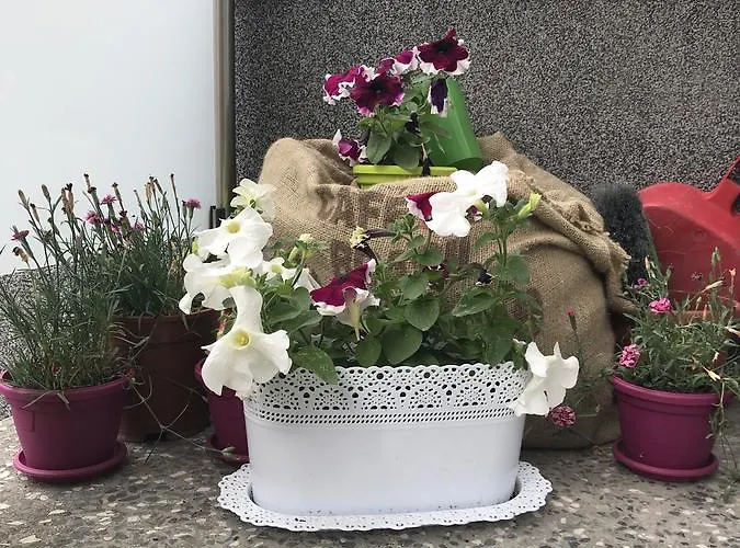 Sarajevo Rooms Maison d'hôtes *